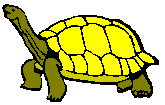 yellow.gif (1489 bytes)