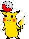 Pika.gif (14017 bytes)