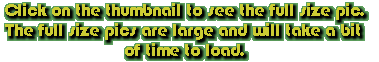 dino_click.gif (5579 bytes)
